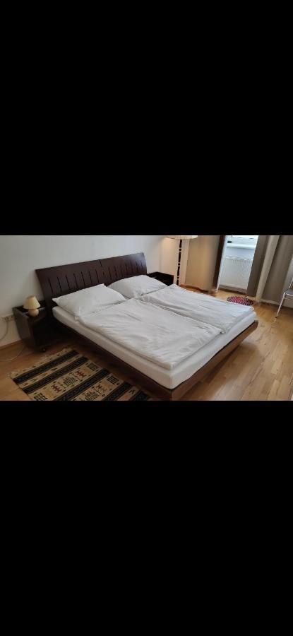 Appartement Schoene Altbauwohnung Zentrum Brigittenauer Laende 32 Wenen